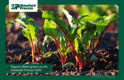 standard process farm image