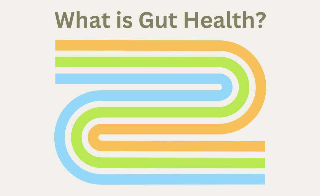 what is gut health