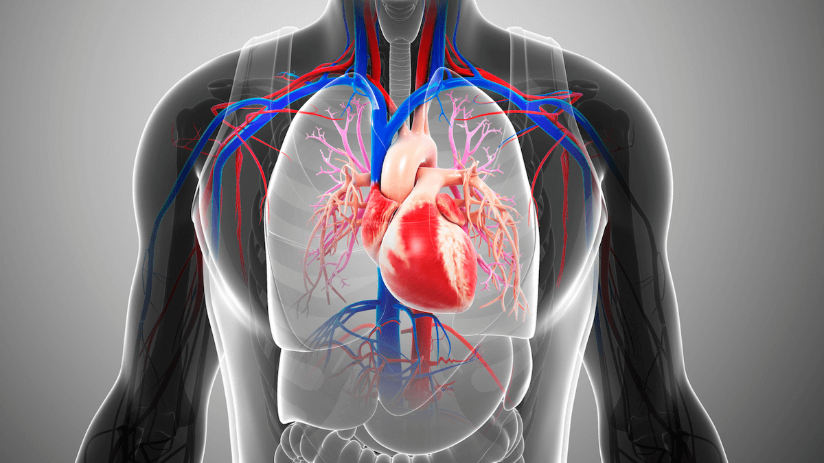 February heart health and the Magnesphere